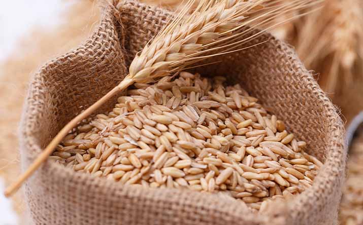Una bolsa llena de trigo, un alimento que contiene gluten Una bolsa llena de trigo, un alimento que contiene gluten