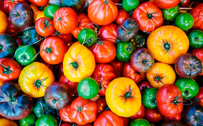 Variedad de tomates de diferentes colores Variedad de tomates de diferentes colores