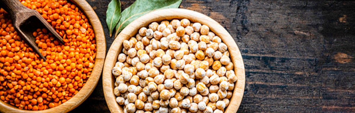 Semillas de garbanzo, lenteja y maíz de snacks salados Semillas de garbanzo, lenteja y maíz de snacks salados