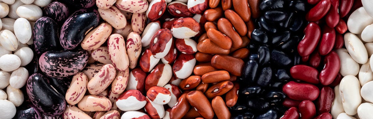 frijoles para frijolada colombiana frijoles para frijolada colombiana