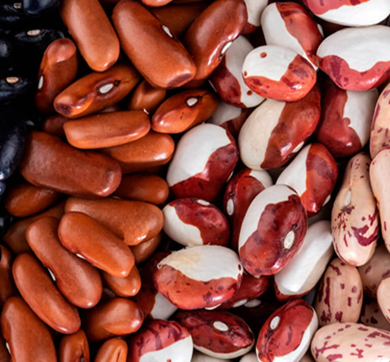 frijoles para frijolada colombiana frijoles para frijolada colombiana