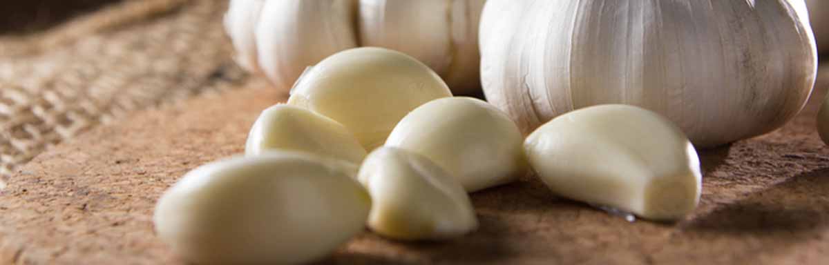 Existen diferentes técnicas para que aprendas cómo pelar ajos. Dientes de ajos pelados, frente a un ajo sin pelar.