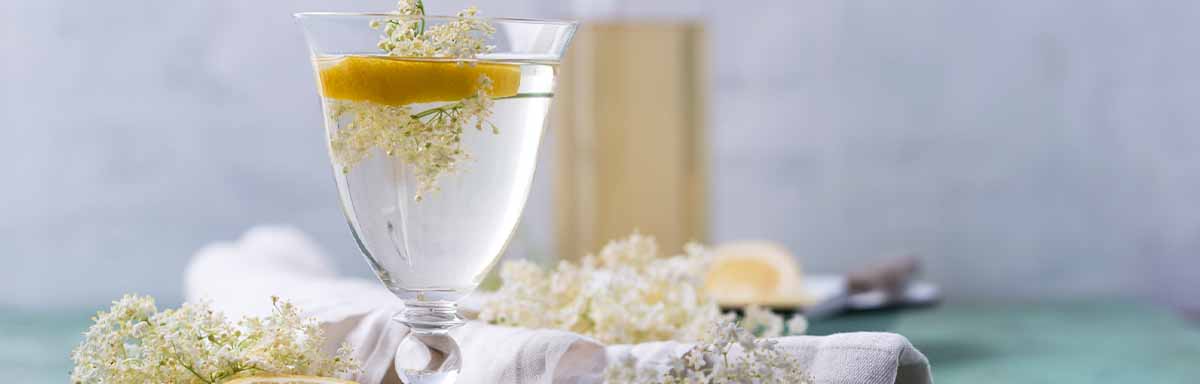 Flor de saúco, una de las flores comestibles, en una infusión con limón. Flor de saúco, una de las flores comestibles, en una infusión con limón.