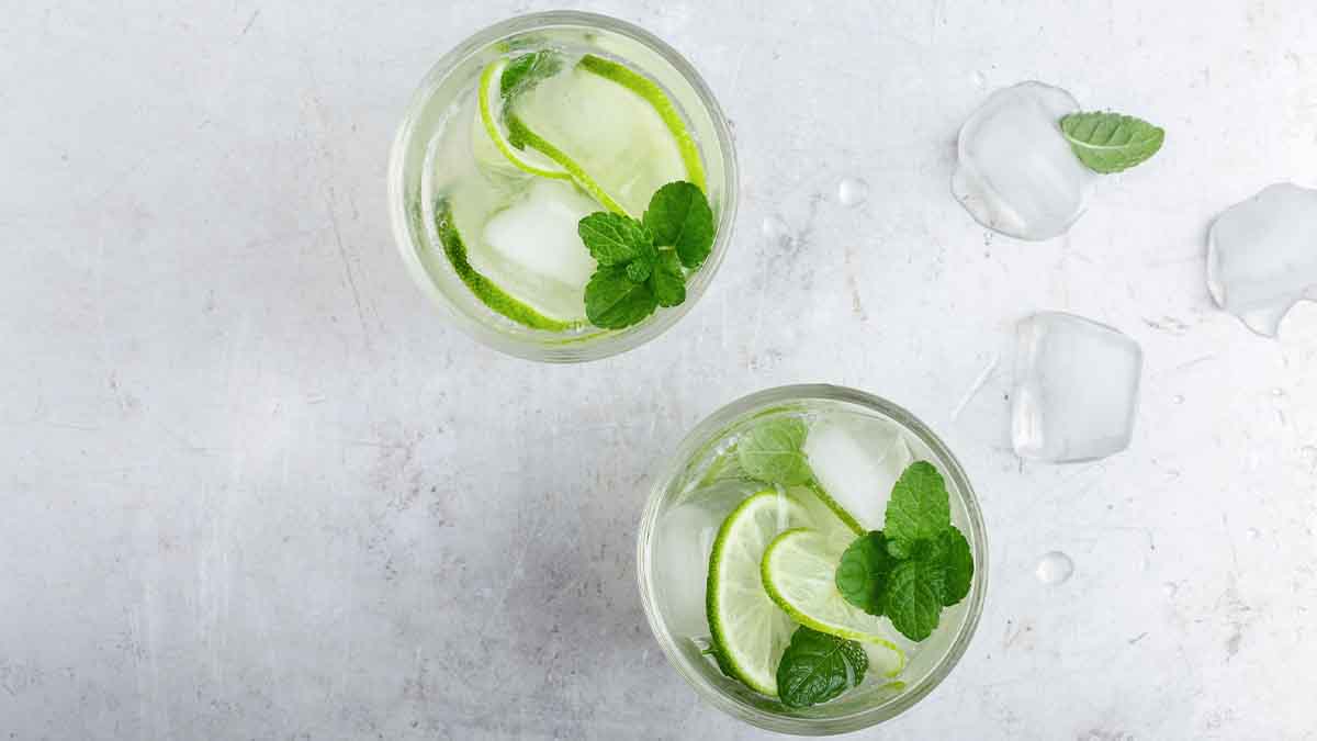 Bebidas con menta Bebidas con menta