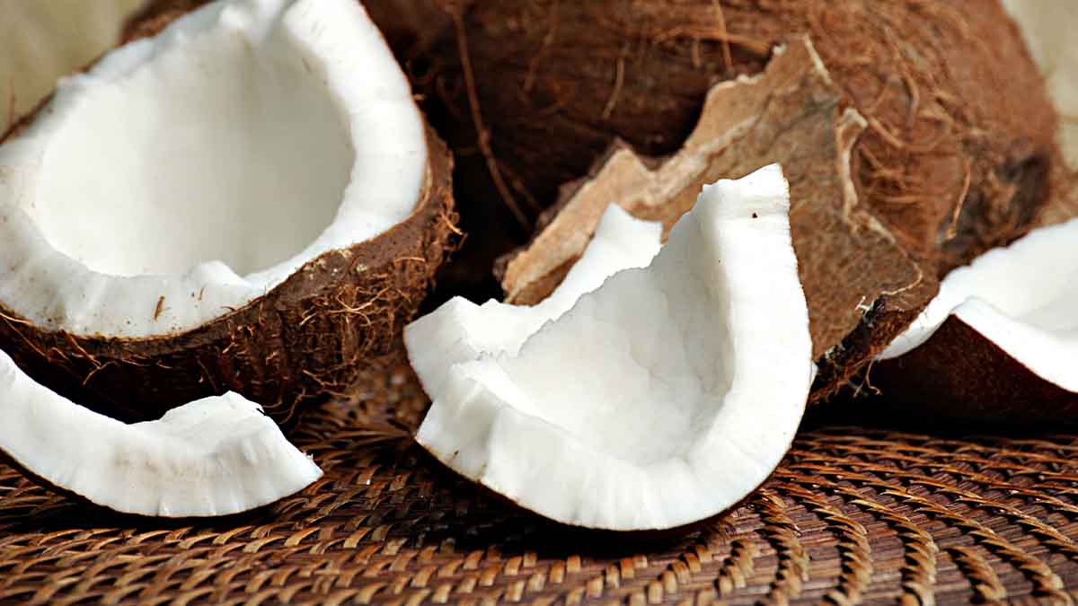 Aceite de coco y otros derivados Aceite de coco y otros derivados