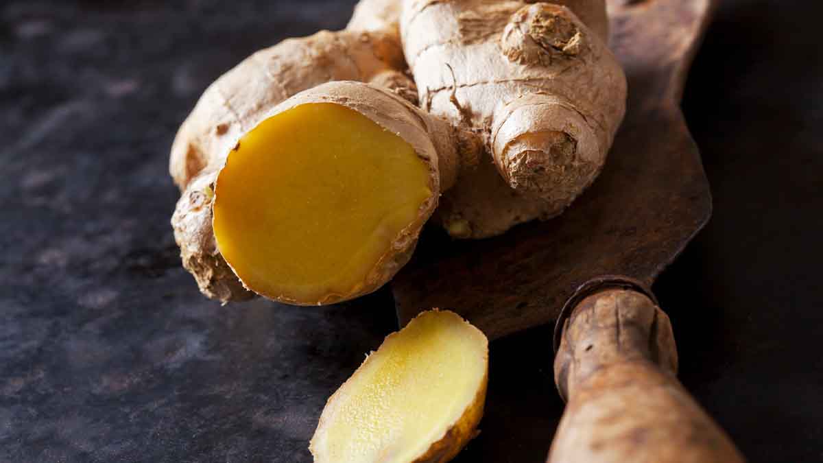 El jengibre es un condimento muy apetecido en la cocina. El jengibre es un condimento muy apetecido en la cocina.