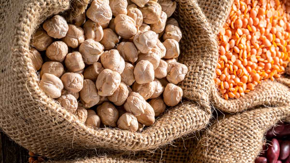 Sacos con granos de garbanzos Sacos con granos de garbanzos