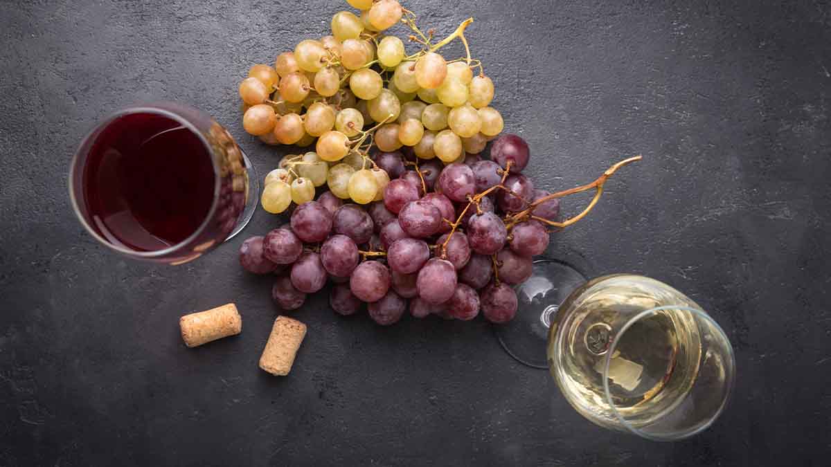 Variedad de uvas con copas de vino Variedad de uvas con copas de vino