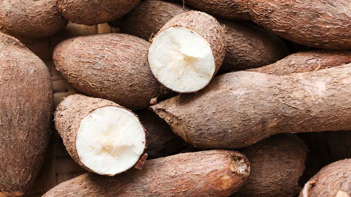 Cómo cocinar con yuca Cómo cocinar con yuca