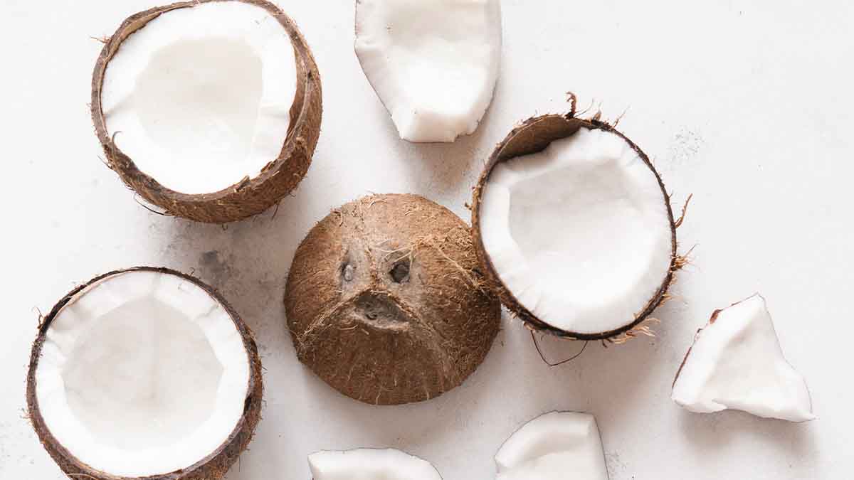 El coco tiene la pulpa blanca y agua en su interior. El coco tiene la pulpa blanca y agua en su interior.