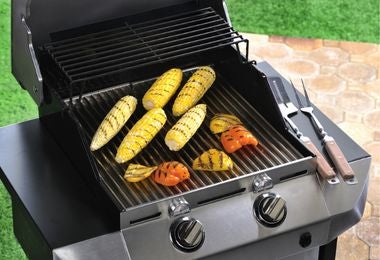 Mazorcas a la parrilla en asado campestre. Mazorcas asadas en parrilla durante un asado al aire libre.