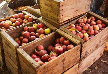 Las frutas, como la manzana, no contienen gluten. 