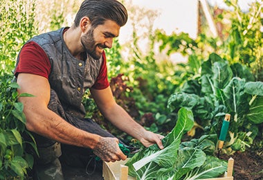 Hombre trabajando en cultivo de alimentos orgánicos 