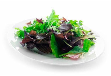 Plato de ensalada variedad de hojas de vegetales 