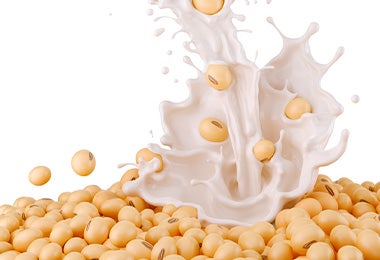 Granos y bebida de soya en quesos veganos
