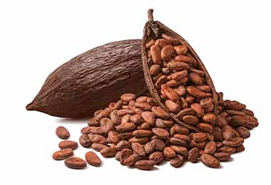 Granos secos de cacao  