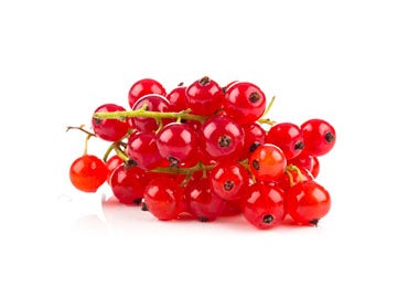 Grosellas, variedad de frutos rojos