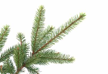 Guirnalda para mesa decorada de navidad