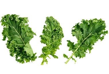 Hojas de kale rizado