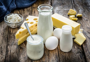 Huevos, leche, mantequilla, queso y yogurt son fuentes de diferentes tipos de grasas