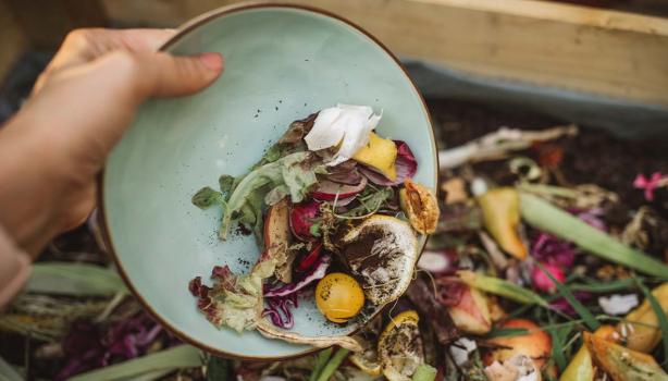 Restos de frutas y verduras en un contenedor de abonos naturales 