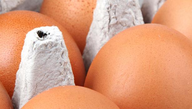 Huevos en cubeta/empaque de cartón 