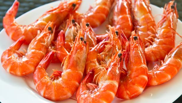 Platillo de gambas frescas.