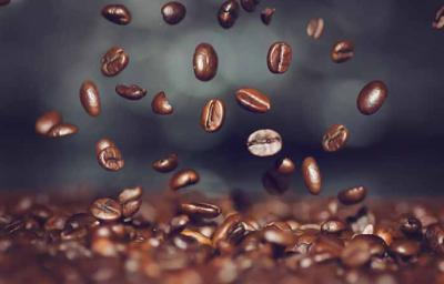 Alimentos para sembrar en huerta casera 