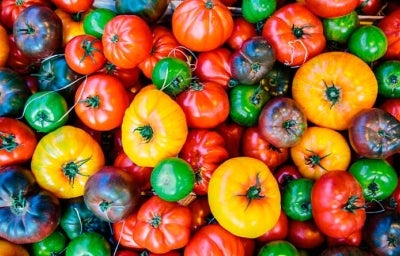 Variedad de tomates de diferentes colores 