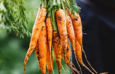 Existen muchísimas recetas con zanahoria para usarla cruda o cocinada.