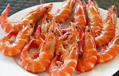 Mariscos frescos, plato con langostinos Mariscos frescos, plato con langostinos