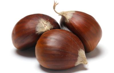 Fruto de castañas Fruto de castañas
