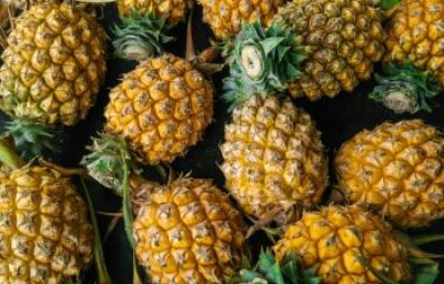 Beneficios de la piña, muchos y variados. Canastada de piñas, una fruta con muchos beneficios.