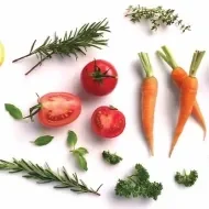  Alimentos para sembrar en huerta casera 