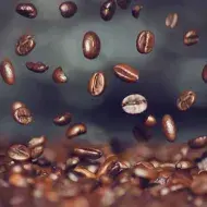 Alimentos para sembrar en huerta casera 