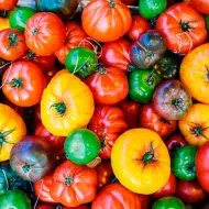 Variedad de tomates de diferentes colores 