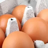 Huevos en cubeta/empaque de cartón 