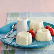 Esponjado de yogurt