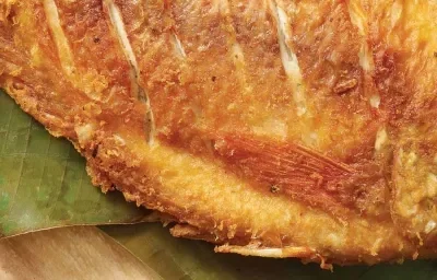 MOJARRA CON ARROZ CON COCO (SABORES DE MI TIERRA) MOJARRA CON ARROZ CON COCO (SABORES DE MI TIERRA)