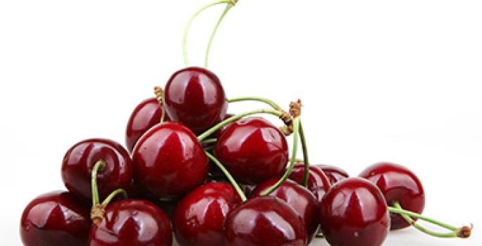 Cerezas frescas rojas y brillantes Cerezas frescas rojas y brillantes