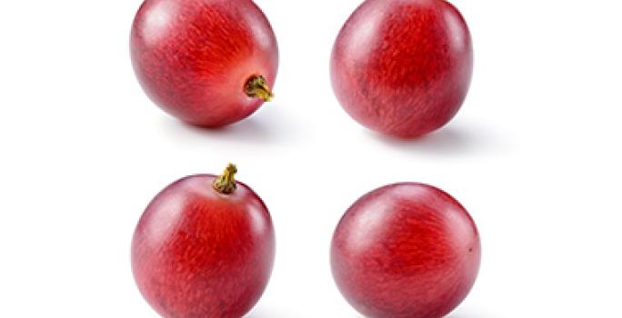 Las uvas son comunes en la comida mediterránea. Las uvas son comunes en la comida mediterránea.