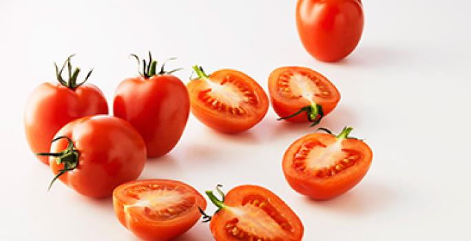 La salsa pomodoro se puede hacer con distintos tipos de jitomate. Grupo de tomates, algunos cortados por la mitad, para usar en una salsa pomodoro.