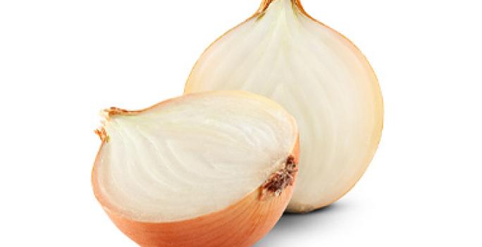 Cebolla marrón cortada por la mitad Cebolla marrón cortada por la mitad