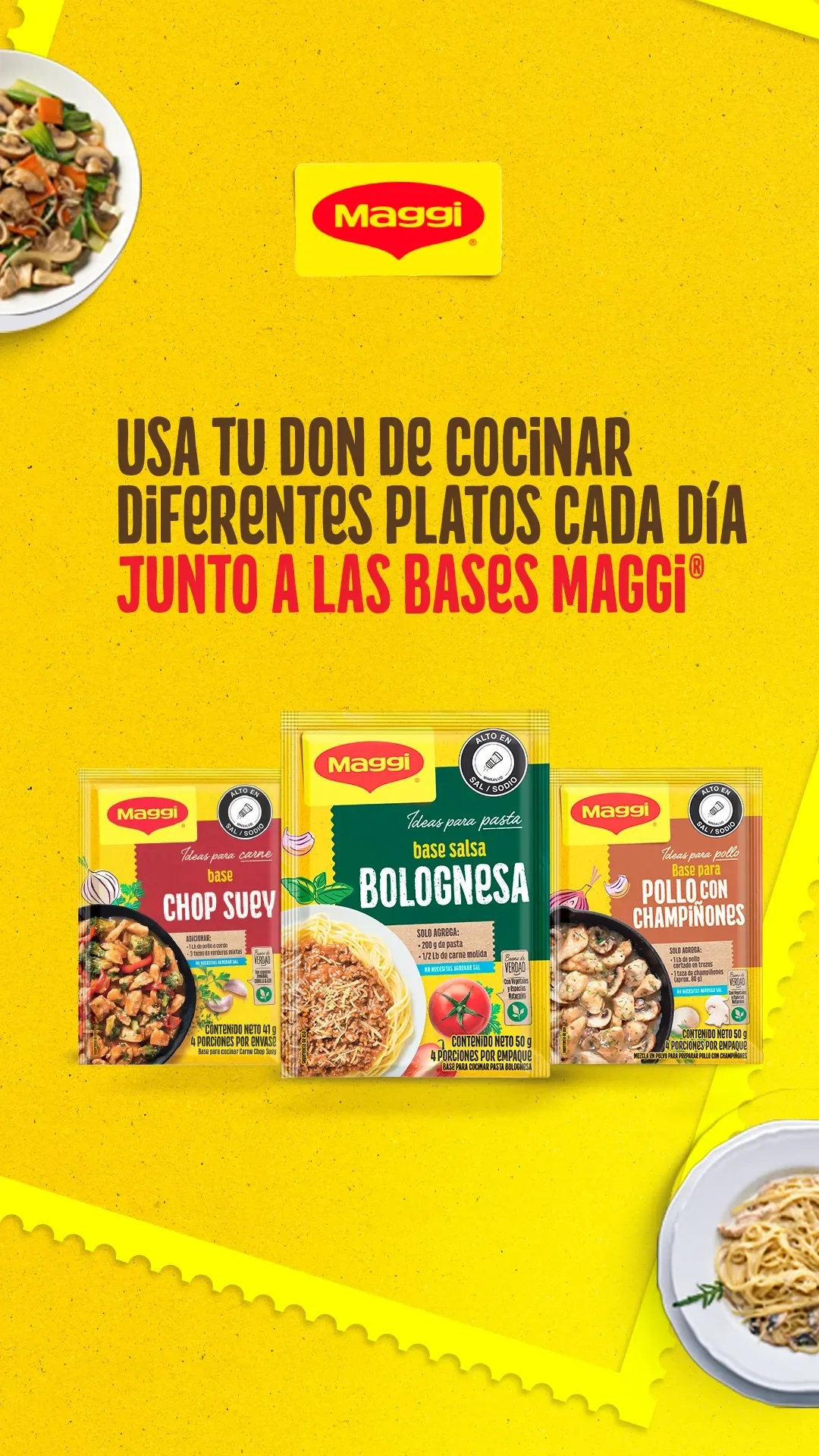 banner_salsabase