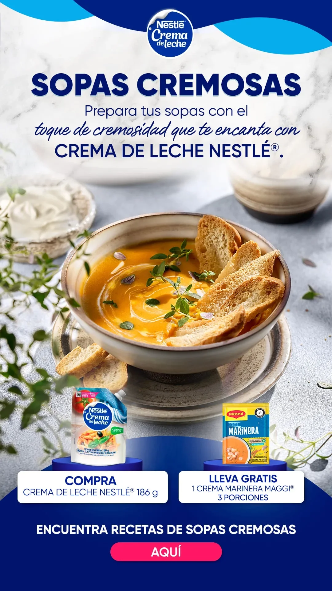 Recetas de sopas cremosas y deliciosas