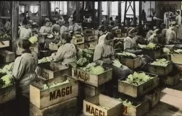 Equipo de mujeres trabajando con Maggi